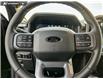 2025 Ford F-150 XLT (Stk: 25AT3596A) in Airdrie - Image 14 of 25