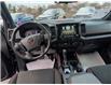 2023 Nissan Frontier PRO-4X (Stk: F1329A) in Miramichi - Image 12 of 13 2023 Nissan Frontier PRO-4X (Stk: F1329A) in Miramichi - Image 12 of 13