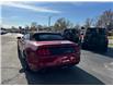 2021 Ford Mustang EcoBoost Premium (Stk: 25347A) in Amherstburg - Image 4 of 17