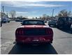 2021 Ford Mustang EcoBoost Premium (Stk: 25347A) in Amherstburg - Image 5 of 17