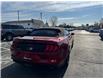 2021 Ford Mustang EcoBoost Premium (Stk: 25347A) in Amherstburg - Image 6 of 17
