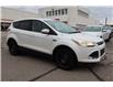 2015 Ford Escape SE (Stk: 2213789AA) in Mississauga - Image 7 of 29