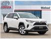 2024 Toyota RAV4 LE (Stk: 6432) in Welland - Image 1 of 25