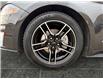 2022 Ford Mustang EcoBoost Premium (Stk: P3270) in Regina - Image 14 of 20