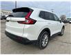 2023 Honda CR-V EX-L (Stk: 789) in Kitchener - Image 3 of 9