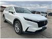 2023 Honda CR-V EX-L (Stk: 789) in Kitchener - Image 4 of 9