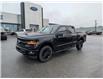 2025 Ford F-150 XLT (Stk: F1374) in Miramichi - Image 1 of 13