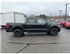 2025 Ford F-150 XLT (Stk: F1374) in Miramichi - Image 6 of 13