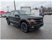 2025 Ford F-150 XLT (Stk: F1374) in Miramichi - Image 7 of 13