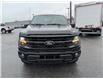 2025 Ford F-150 XLT (Stk: F1374) in Miramichi - Image 8 of 13
