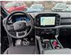 2025 Ford F-150 XLT (Stk: F1374) in Miramichi - Image 12 of 13
