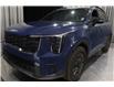 2024 Kia Sorento 2.5T X-Pro w/Black Interior (Stk: 25738C) in Edmonton - Image 7 of 37
