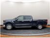 2025 Ford F-150 XLT (Stk: D42705) in Lower Sackville - Image 8 of 23