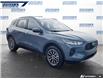 2025 Ford Escape PHEV (Stk: P4565) in Dartmouth - Image 6 of 24