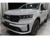 2023 Kia Sorento 2.5T SX w/Black Leather (Stk: 25331C) in Edmonton - Image 7 of 30