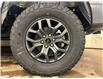 2025 Ford F-150 Tremor (Stk: 25LT162) in St.Paul - Image 10 of 10