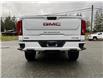 2020 GMC Sierra 1500 AT4 (Stk: 6T163A) in Hope - Image 4 of 13