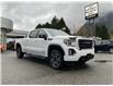 2020 GMC Sierra 1500 AT4 (Stk: 6T163A) in Hope - Image 7 of 13