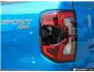 2025 Ford Ranger XLT (Stk: FH388) in Sault Ste. Marie - Image 11 of 26