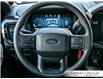 2024 Ford F-150 STX (Stk: U6290A) in Grimsby - Image 20 of 29