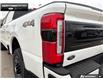 2026 Ford F-250 Platinum (Stk: 6F213103) in Brantford - Image 8 of 22