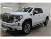 2026 GMC Sierra 1500 Denali (Stk: T3259) in Watrous - Image 4 of 47