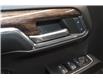 2024 GMC Sierra 1500 Elevation (Stk: S1325A) in Watrous - Image 16 of 38