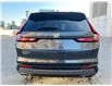 2024 Honda CR-V Hybrid EX-L (Stk: HP6473) in Toronto - Image 6 of 26 2024 Honda CR-V Hybrid EX-L (Stk: HP6473) in Toronto - Image 6 of 26