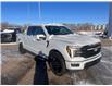 2025 Ford F-150 Lariat (Stk: S23156) in Hague - Image 3 of 15