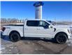 2025 Ford F-150 Lariat (Stk: S22964) in Hague - Image 2 of 15