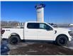 2025 Ford F-150 XLT (Stk: S63082) in Hague - Image 2 of 15