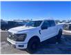 2025 Ford F-150 XLT (Stk: S63082) in Hague - Image 5 of 15