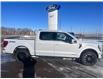 2025 Ford F-150 Lariat (Stk: S31519) in Hague - Image 2 of 16
