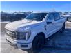 2025 Ford F-150 Lariat (Stk: S31519) in Hague - Image 5 of 16