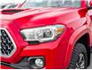 2019 Toyota Tacoma SR5 V6 (Stk: P2233) in BELLEVILLE - Image 8 of 22