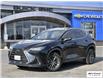 2025 Lexus NX 350h Base (Stk: U4296) in Hamilton - Image 1 of 27