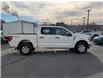 2022 Ford F-150  (Stk: F1144A) in Miramichi - Image 6 of 13