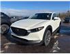 2025 Mazda CX-30 GX (Stk: 225-208) in Pembroke - Image 1 of 6