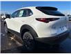 2025 Mazda CX-30 GX (Stk: 225-208) in Pembroke - Image 4 of 6