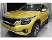 2023 Kia Seltos SX Turbo w/Black Interior (Stk: 26608A) in Edmonton - Image 6 of 27