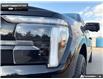 2025 Ford F-150 Platinum (Stk: 5F129256) in Brantford - Image 7 of 23