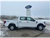 2025 Ford F-150 XL (Stk: S64772) in Hague - Image 2 of 16