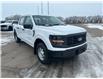 2025 Ford F-150 XL (Stk: S64772) in Hague - Image 3 of 16