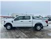 2025 Ford F-150 XL (Stk: S64772) in Hague - Image 6 of 16