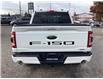 2023 Ford F-150 Lariat (Stk: 26042A) in Peterborough - Image 4 of 33
