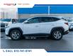 2024 Hyundai Tucson Preferred (Stk: 25248A) in Ottawa - Image 7 of 19