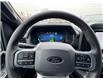 2025 Ford F-150 XLT (Stk: FS55523) in Windsor - Image 23 of 26