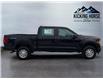 2025 Ford F-150 XL (Stk: 15228) in Golden - Image 4 of 17