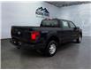 2025 Ford F-150 XL (Stk: 15228) in Golden - Image 5 of 17
