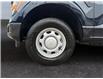 2025 Ford F-150 XL (Stk: 15228) in Golden - Image 16 of 17
